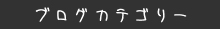 ブログカテゴリー